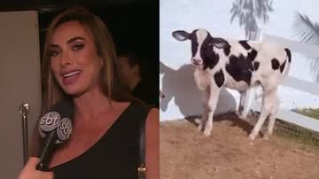 Nicole Bahls revelou o nome da nova vaca de sua fazenda - Reprodução/SBT/Instagram