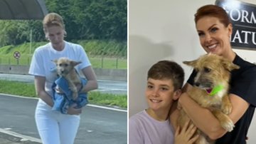 A apresentadora Ana Hickmann adota cachorro que resgatou na estrada: "Ele que nos encontrou" - Reprodução/Youtube