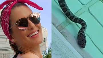 Lívia Andrade tem banho de piscina interrompido por cobra e assusta fãs - Reprodução/Instagram