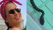 Lívia Andrade tem banho de piscina interrompido por cobra e assusta fãs - Reprodução/Instagram