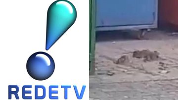 Imundície! RedeTV! sofre infestação de ratos em bastidores perto de programa culinário - Reprodução/RedeTV! e Reprodução/Instagram