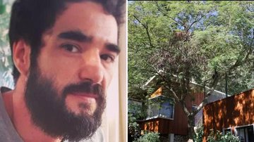 Caio Blat coloca à venda 'Casa na Árvore' gigantesca por R$ 6 milhões - Reprodução/ Instagram