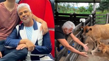Lulu Santos completa 70 anos e ganha declaração apaixonada do marido: "Tenho sorte" - Reprodução/ Instagram