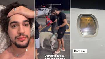 Os sertanejos Henrique e Juliano "sequestram" cachorros do cantor Nattan após noitada e levam até o pacote de ração dos animais; veja - Reprodução/Instagram
