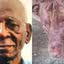 Que horror! Idoso de 77 anos morre após ataque brutal de pitbull