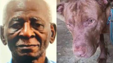 Que horror! Idoso de 77 anos morre após ataque brutal de pitbull - Reprodução/Inter TV RJ