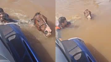 Marcelo Santos da Silva, vice-prefeito de Santo Antônio da Patrulha, resgatou cavalo - Reprodução/Instagram