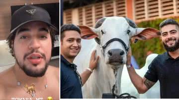 Cantor Nattan ameaça 'roubar' gado de Henrique e Juliano após 'sequestro' de seus cachorros - Reprodução/Instagram