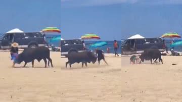 Touro ataca turista em praia e momento é filmado - Reprodução/X