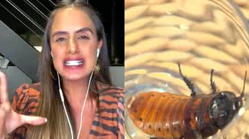 No Limite: Carol Peixinho relata experiência de comer baratas vivas na Prova da Comida: "Casco era duro" - Reprodução/TV Globo