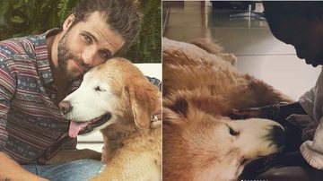 Bruno Gagliasso lamenta a morte de seu cachorro: 'Que dor' - Reprodução / Instagram