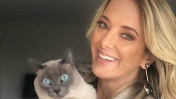 Ticiane Pinheiro faz festa para gato de estimação e recebe críticas - Reprodução Instagram