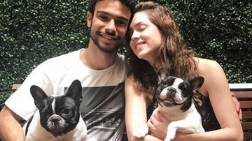 Sergio Malheiros e Sophia Abrahão com os cachorros - Reprodução / Instagram
