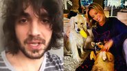 Após Fiuk justificar motivo para deixar cachorros em abrigo, Luisa Mell detona atitude - Instagram