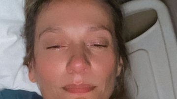 Em cama de hospital, Luisa Mell anuncia medida drástica: "Cheguei no meu limite" - Reprodução/ Instagram