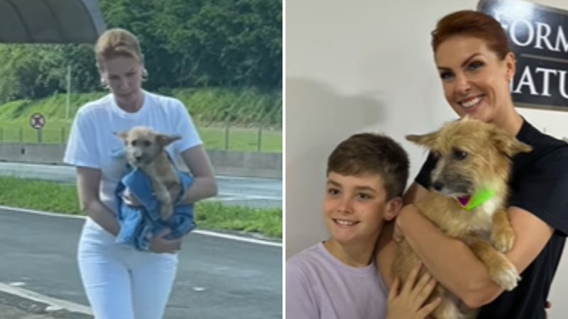A apresentadora Ana Hickmann adota cachorro que resgatou na estrada: "Ele que nos encontrou" - Reprodução/Youtube