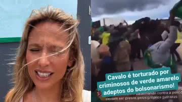 Luisa Mell detona bolsonaristas que atacaram cavalo da PM - Reprodução/Instagram