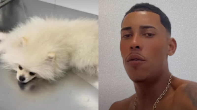 MC Poze do Rodo se desespera ao descobrir que cachorro ingeriu maconha: "Coração apertou" - Reprodução\Instagram