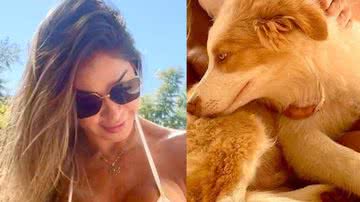 Maíra Cardi surge com cachorro e recebe graves acusações: "Esse também?" - Reprodução/ Instagram