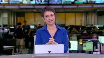 Você sabia? Após 30 anos, Sandra Annenberg deixa jornalismo e retoma carreira 'secreta' - Reprodução/TV Globo