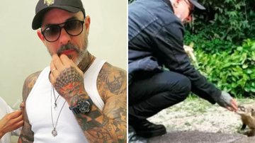 O chef e jurado do MasterChef Henrique Fogaça é mordido por animal e para em hospital: "Pode até matar" - Reprodução/Instagram