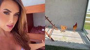 Nicole Bahls separa espaço de luxo para galinhas em mansão gigante - Reprodução/Instagram