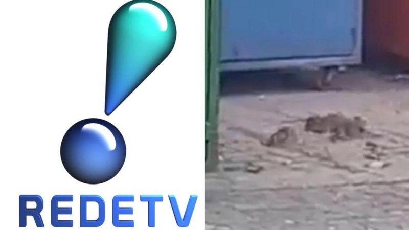 Imundície! RedeTV! sofre infestação de ratos em bastidores perto de programa culinário - Reprodução/RedeTV! e Reprodução/Instagram