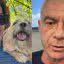 Ex-marido de Ana Hickmann ofendia cachorro que a salvou: "Vira-lata"