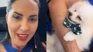 Tudo isso? Graciele Lacerda arremata cachorro por preço absurdo em leilão - Reprodução/ Instagram