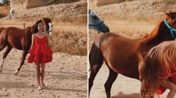 Influenciadora grava vídeo no meio de cavalos correndo e é atropelada por um - Reprodução/Instagram