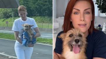 Marido se negou a resgatar cão que salvou Ana Hickmann: "Tem miolos a menos" - Reprodução/Instagram