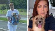 Marido se negou a resgatar cão que salvou Ana Hickmann: "Tem miolos a menos" - Reprodução/Instagram