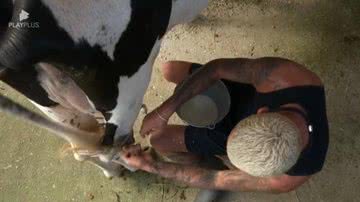 A Fazenda 15: WL Guimarães se irrita com vaca e toma atitude inesperada - Reprodução/ Record