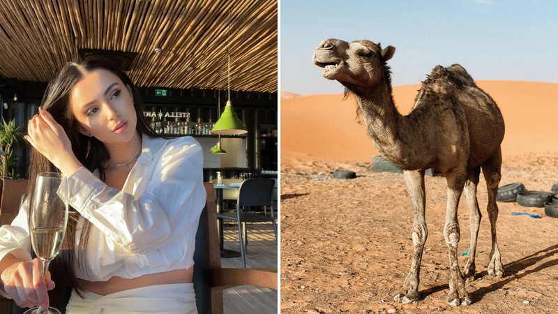Fã oferece 100 camelos para que modelo brasileira se case com ele - Reprodução/Instagram/Unsplash/MeganSchultz