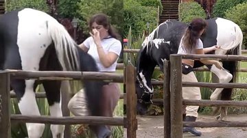 Nadja Pessoa desabafou após um cavalo dar uma piasada em seu pé - Reprodução/Record