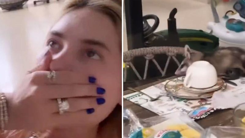 Virgínia Fonseca flagra animal parindo na mesa de jantar e fãs detonam: "Zero higiene" - Reprodução/Instagram