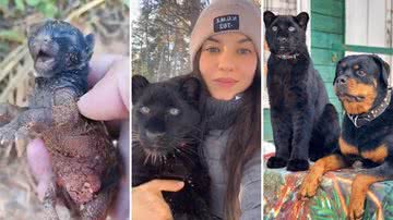 É um gatinho? Mulher resgata pantera negra abandonada e a cria com rottweiler - Reprodução/Twitter/Instagram