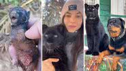É um gatinho? Mulher resgata pantera negra abandonada e a cria com rottweiler - Reprodução/Twitter/Instagram