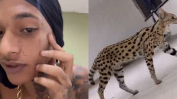 Oruam é atacado por gato de R$ 100 mil que é híbrido de felino selvagem - Reprodução/Instagram