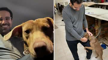 Paulo Mathias, repórter do SBT, adota cachorro que o abraçou após resgate no Rio Grande do Sul; confira - Reprodução/Instagram