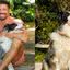 Cauã Reymond celebra alta hospitalar de sua cachorra após envenenamento