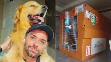Laudo do cão Joca é divulgado e indica causa da morte do animal: "Agravante" - Reprodução/Instagram e Reprodução/Globo