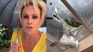 Ana Maria Braga pede socorro após ter casa destruída por chuva: "Absurdo" - Reprodução/Instagram