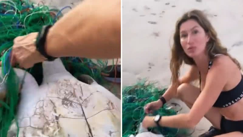 Gisele Bündchen revelou que foi seu cachorro que encontrou o animal; confira vídeo do momento que a modelo salvou a tartaruga - Reprodução/Instagram
