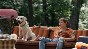Filmes promovem ações positivas em relação aos cuidados com os animais  (Imagem: Reprodução digital | Netflix)