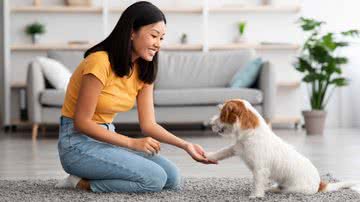 É possível ensinar alguns comandos ao cachorro em casa (Imagem: Shutterstock)