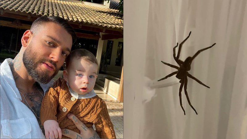 Que susto! Esposa de Lucas Lucco encontra aranha gigante no berço do filho - Reprodução/Instagram