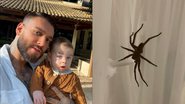 Que susto! Esposa de Lucas Lucco encontra aranha gigante no berço do filho - Reprodução/Instagram