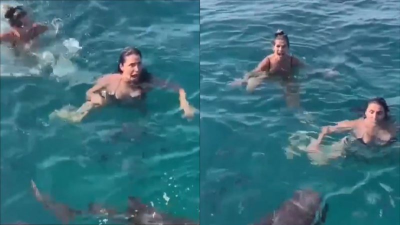 Perigo! Ingrid Guimarães e Giovanna Antonelli nadam em mar repleto de tubarões - Reprodução/Instagram