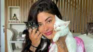 Como assim? Aline Riscado revela ter número exuberante de gatos e cachorros: "Amo meus bichinhos" - Reprodução/Instagram